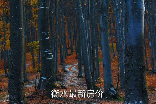 衡水最新房價