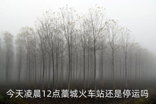 今天凌晨12點(diǎn)藁城火車站還是停運(yùn)嗎