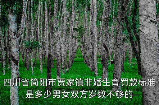 四川省成都市賈家鎮(zhèn)事件，四川省簡陽市賈家鎮(zhèn)非婚生育罰款標準是多少男女雙方歲數(shù)不夠的