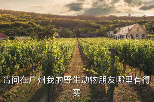 請問在廣州我的野生動物朋友哪里有得買