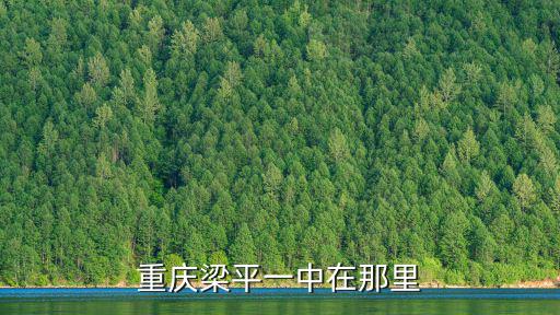 重慶梁平一中在那里