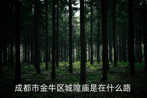 成都市金牛區金美國際圖片，成都有哪些公園有大面積草坪有歐式建筑