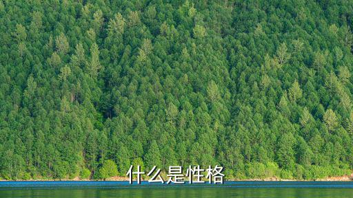 性格是什么，什么是性格
