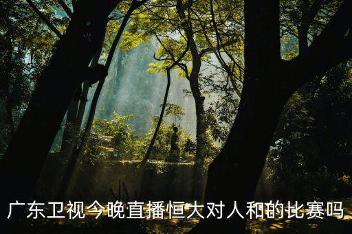 廣東衛視今晚直播恒大對人和的比賽嗎
