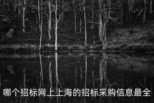 哪個招標網上上海的招標采購信息最全