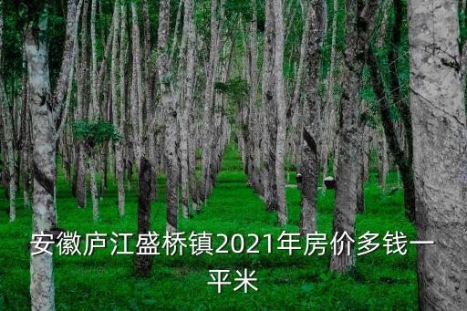 安徽廬江盛橋鎮2021年房價多錢一平米