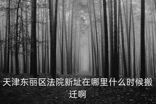 天津東麗區法院新址在哪里什么時候搬遷啊