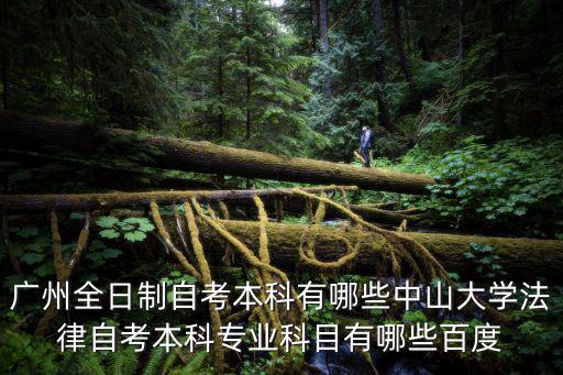 廣州全日制自考本科有哪些中山大學法律自考本科專業科目有哪些百度