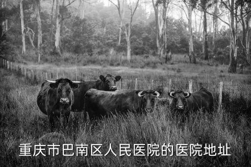 重慶市巴南區各衛生院院長，重慶市開縣渠口鎮衛生院院長是誰