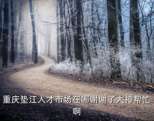 重慶墊江人才市場(chǎng)在哪謝謝了大神幫忙啊