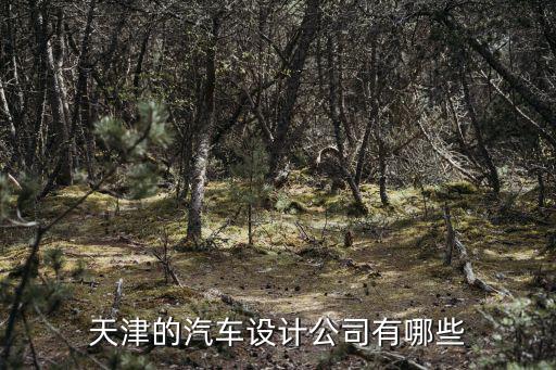 天津的汽車設計公司有哪些
