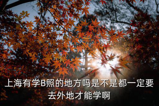 上海有學(xué)B照的地方嗎是不是都一定要去外地才能學(xué)啊