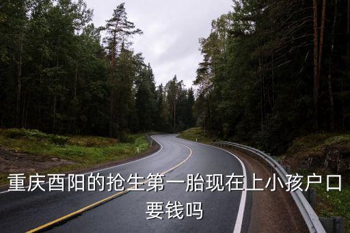 重慶酉陽的搶生第一胎現在上小孩戶口要錢嗎
