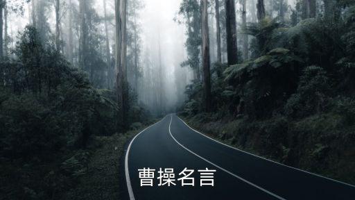 曹操名言
