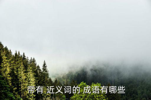 帶有近義詞的成語,四字格英文解釋:死的話不注重精神實(shí)質(zhì)