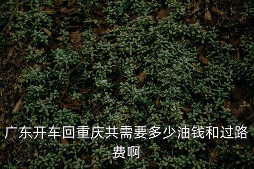 廣東開車回重慶共需要多少油錢和過路費啊
