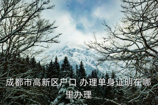 成都市高新區(qū)戶口 辦理單身證明在哪里辦理