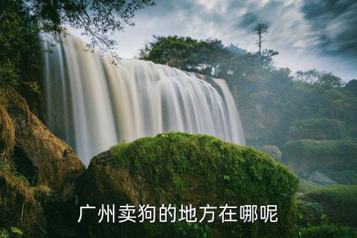 廣州那里有寵物市場地址，廣州賣狗的地方在哪呢