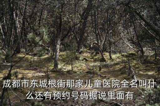 成都市東城根街那家兒童醫(yī)院全名叫什么還有預(yù)約號碼據(jù)說里面有