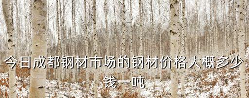 今日成都鋼材市場的鋼材價格大概多少錢一噸