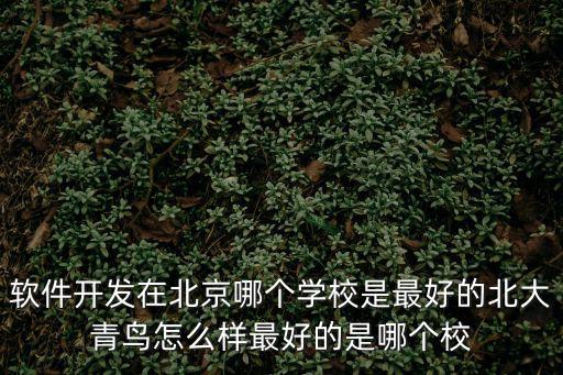軟件開發(fā)在北京哪個(gè)學(xué)校是最好的北大青鳥怎么樣最好的是哪個(gè)校