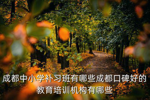 成都中小學(xué)補(bǔ)習(xí)班有哪些成都口碑好的教育培訓(xùn)機(jī)構(gòu)有哪些