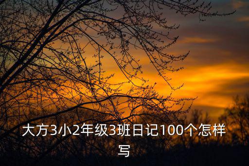 大方3小2年級3班日記100個怎樣寫