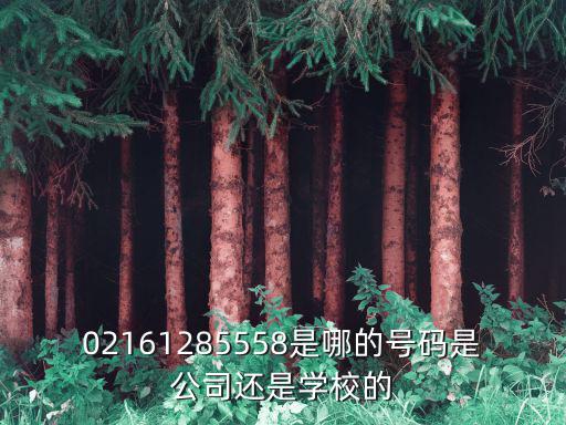 02161285558是哪的號碼是公司還是學校的