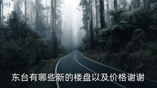 江蘇東臺當前的房價如何，東臺房子大概多少錢一平方