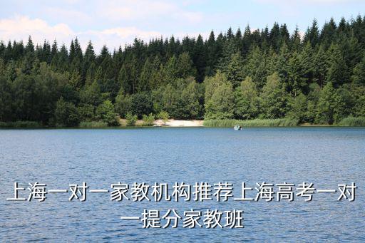 上海一對一家教機構(gòu)推薦上海高考一對一提分家教班