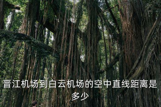 晉江機場到白云機場的空中直線距離是多少