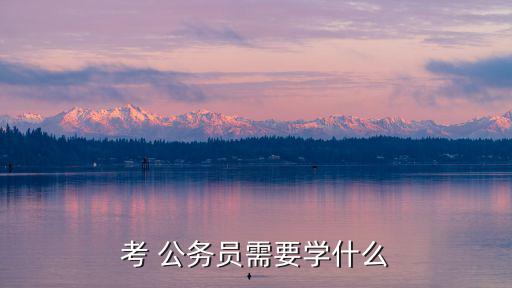 考 公務員需要學什么