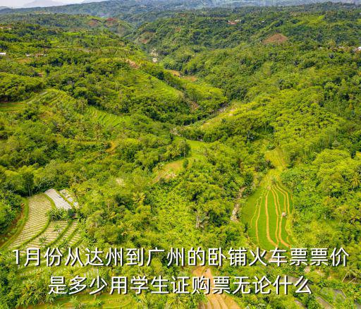 1月份從達州到廣州的臥鋪火車票票價是多少用學生證購票無論什么