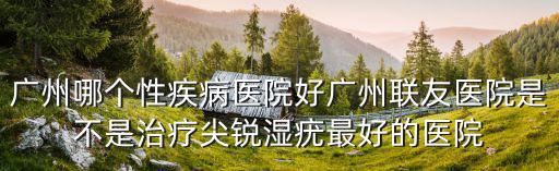 廣州哪個性疾病醫院好廣州聯友醫院是不是治療尖銳濕疣最好的醫院