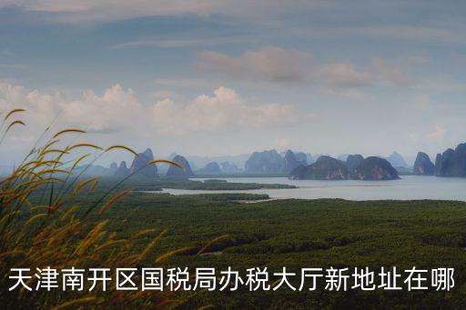 天津南開區國稅局辦稅大廳新地址在哪