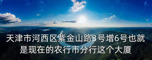 天津市河西區紫金山路3號增6號也就是現在的農行市分行這個大廈