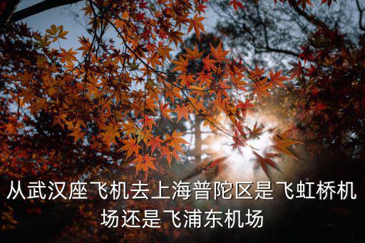 從武漢座飛機(jī)去上海普陀區(qū)是飛虹橋機(jī)場(chǎng)還是飛浦東機(jī)場(chǎng)