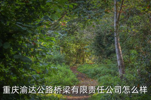 重慶市渝派責(zé)任有限公司怎么樣，重慶渝達公路橋梁有限責(zé)任公司怎么樣