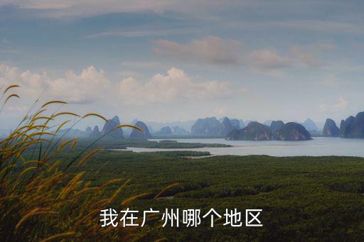 我在廣州哪個(gè)地區(qū)