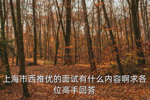 上海市西推優的面試有什么內容啊求各位高手回答
