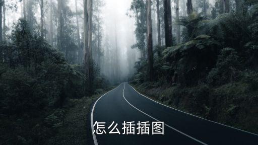 插插圖，如何在word中插入圖片