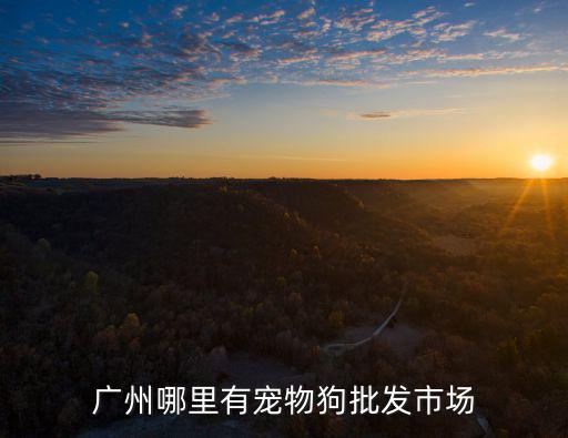 廣州哪里有寵物狗批發市場