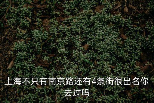 上海不只有南京路還有4條街很出名你去過嗎