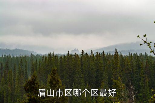 眉山市區哪個區最好