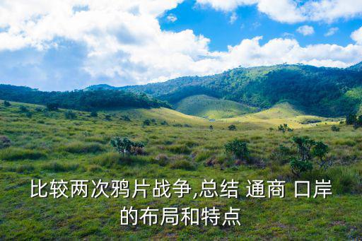 比較兩次鴉片戰爭,總結 通商 口岸的布局和特點