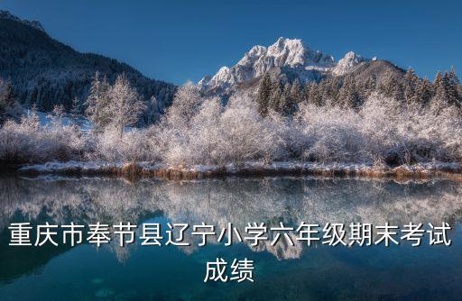重慶市奉節縣遼寧小學六年級期末考試成績