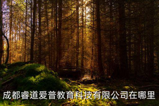 成都睿道愛(ài)普教育科技有限公司在哪里