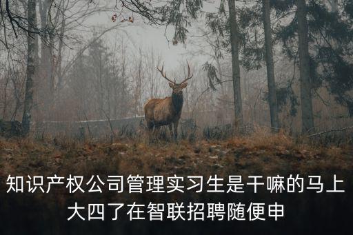 知識產(chǎn)權(quán)公司管理實習(xí)生是干嘛的馬上大四了在智聯(lián)招聘隨便申