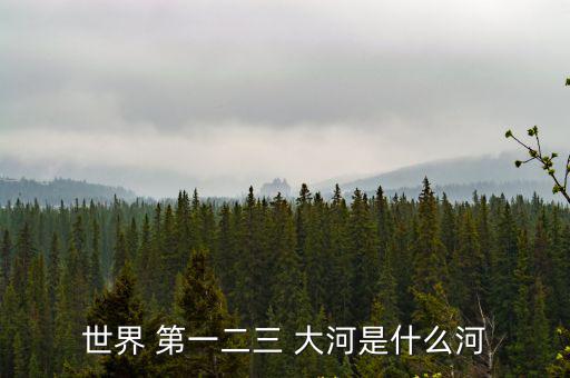 世界 第一二三 大河是什么河