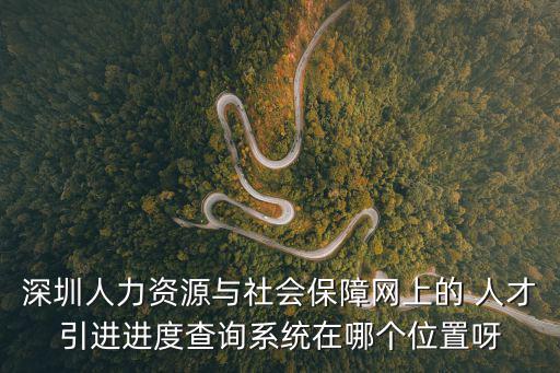 深圳人才引進系統官網，深圳人力資源與社會保障網上的 人才引進進度查詢系統在哪個位置呀